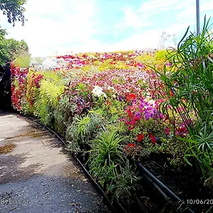 Casapatrizia Compartido Santa-Cruz de Ténérife